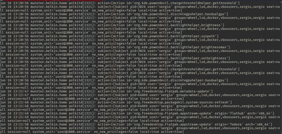 Logs de polkit con debug habilitado