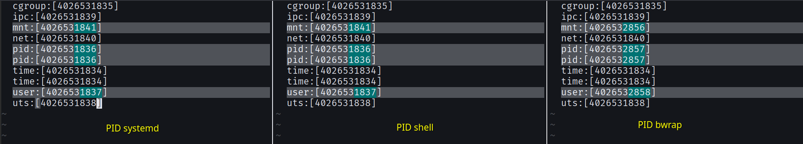 Comparación de procesos y namespaces